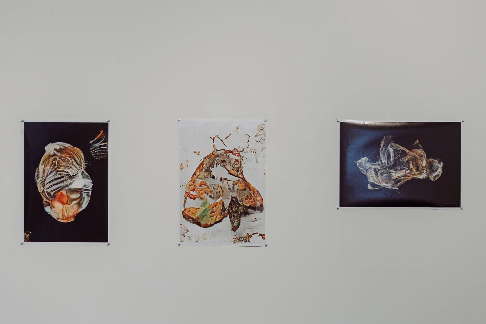 191114_Het Cultuurgebouw_galerie_high res_AnnaSmakman-0023