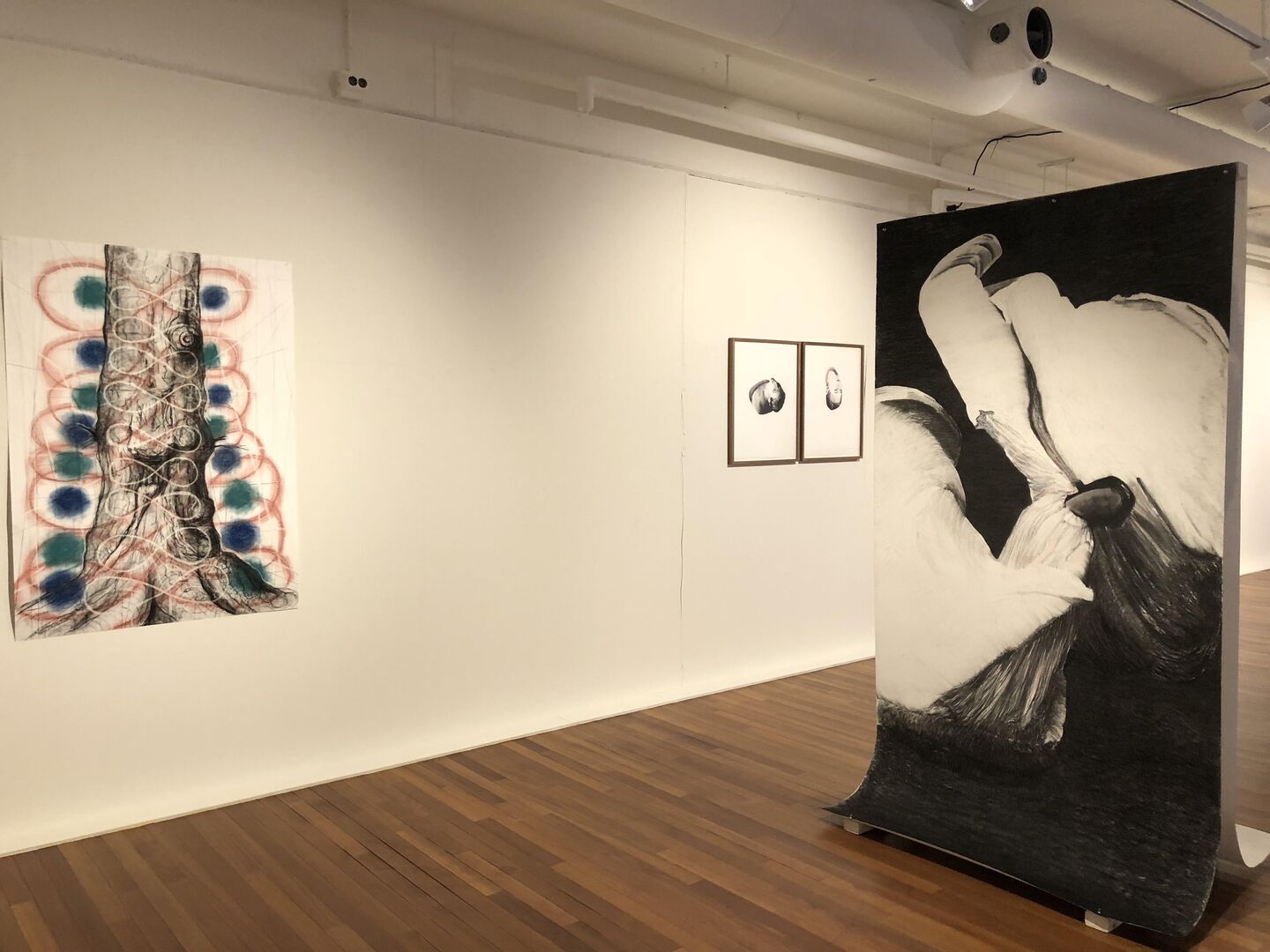 20190124_153728407_iOS