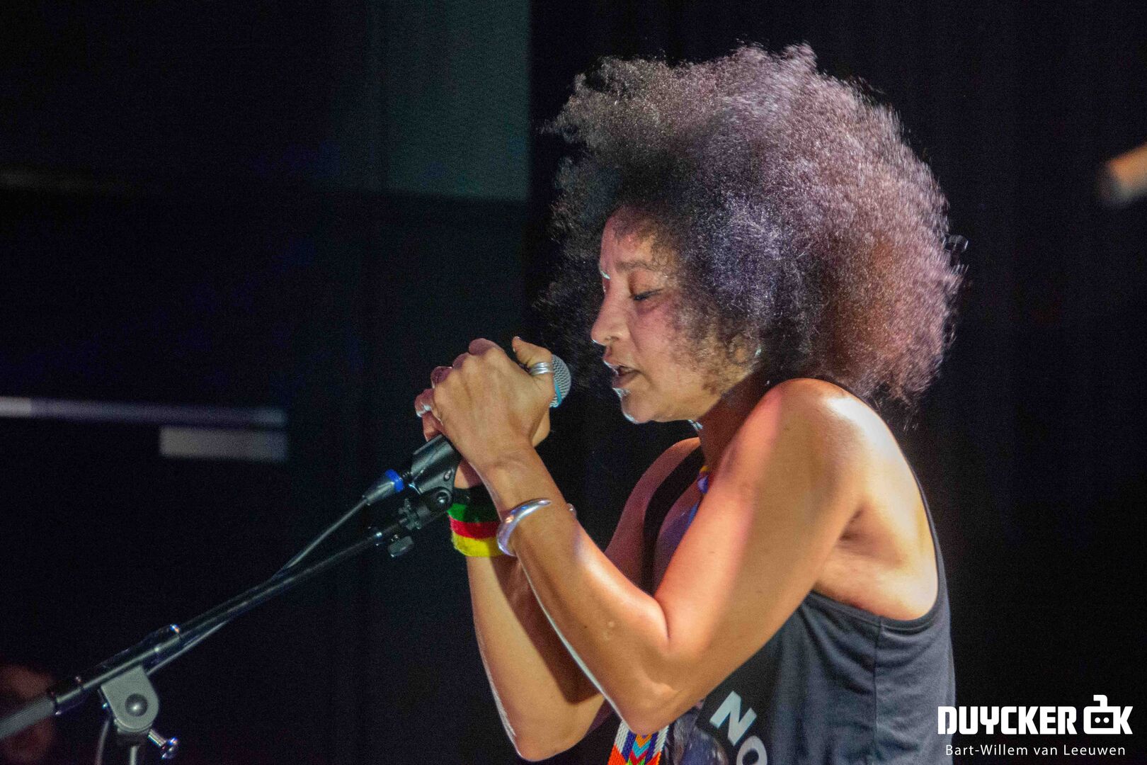 20200208-StereoMCs-10