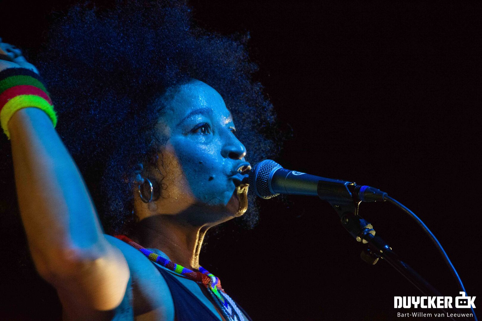 20200208-StereoMCs-16