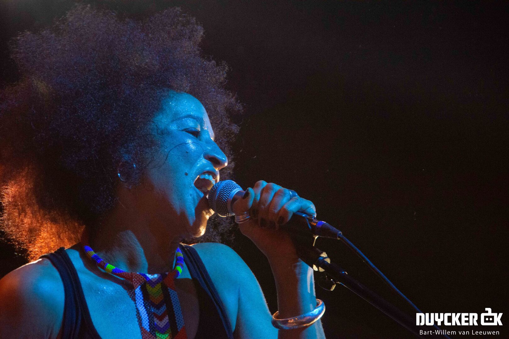 20200208-StereoMCs-23