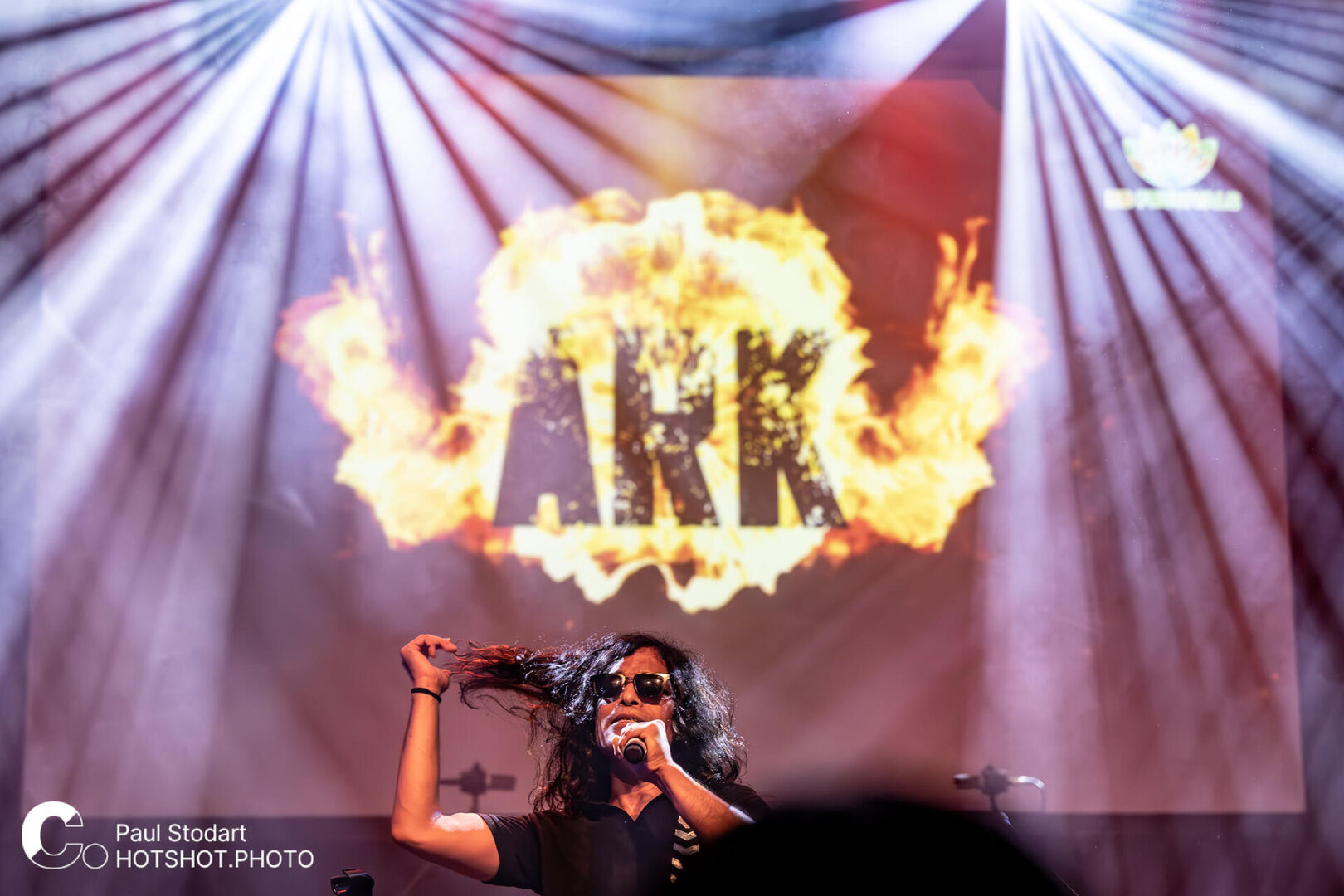 2023-hotshot-ark-logo-16