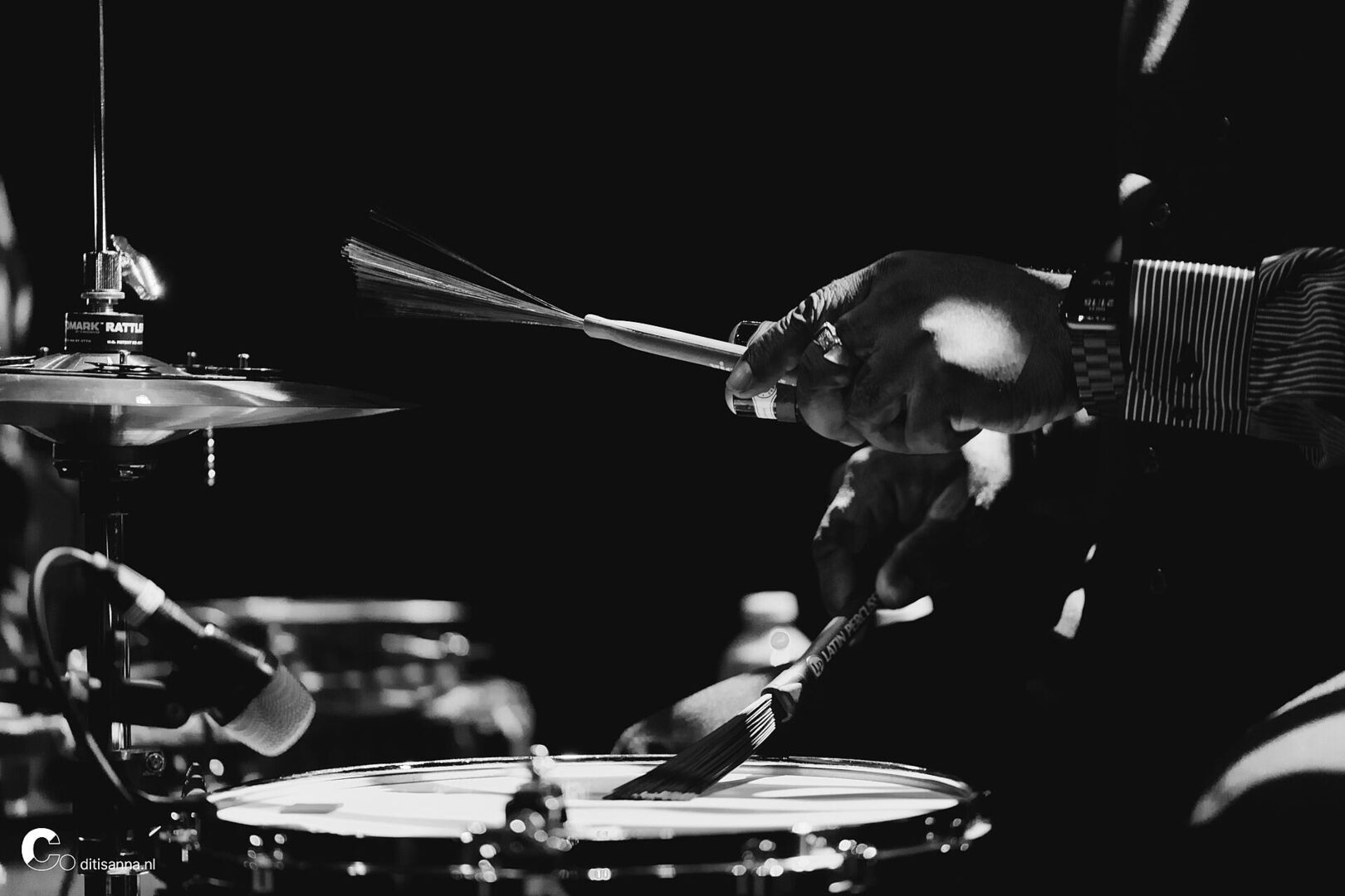 20230323_Hans Theessink en Big Daddy Wilson_D0A0046_Anna Smakman_lowres