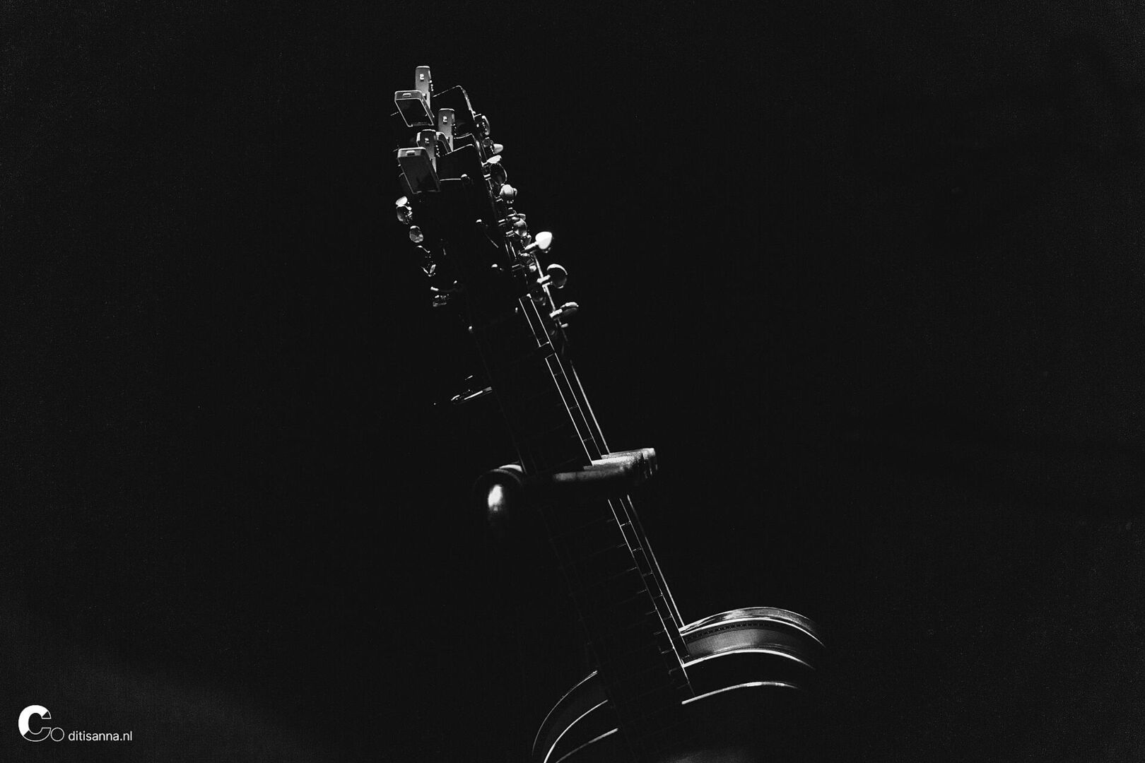 20230323_Hans Theessink en Big Daddy Wilson_D0A0109_Anna Smakman_lowres