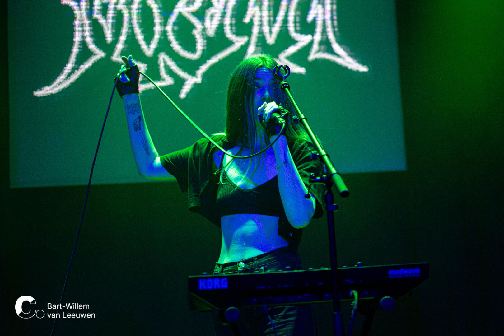 20241128 Cpunt -1- Moaa - BWvLeeuwen-16