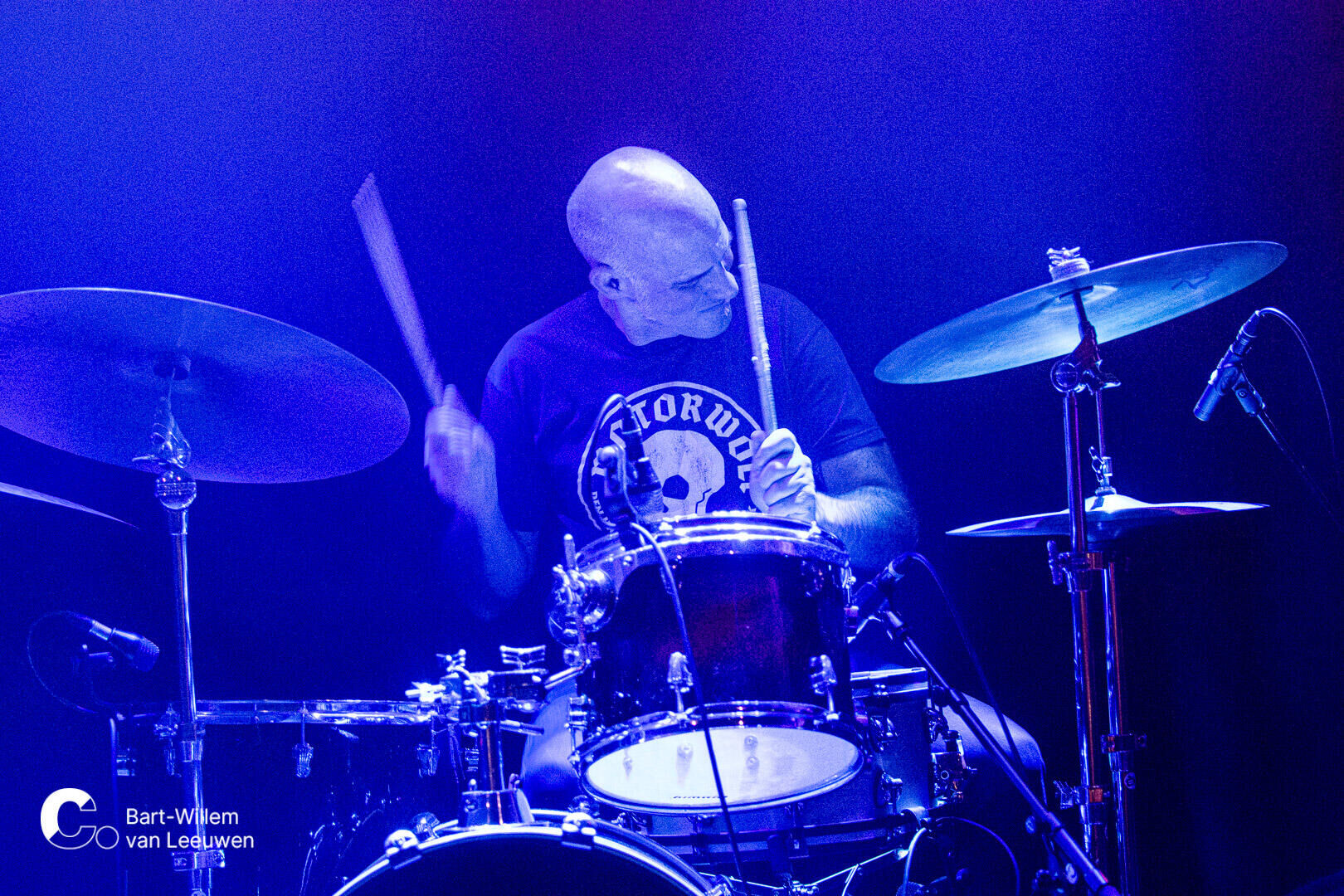 20241128 Cpunt -2- LauraPalmer - BWvLeeuwen-06