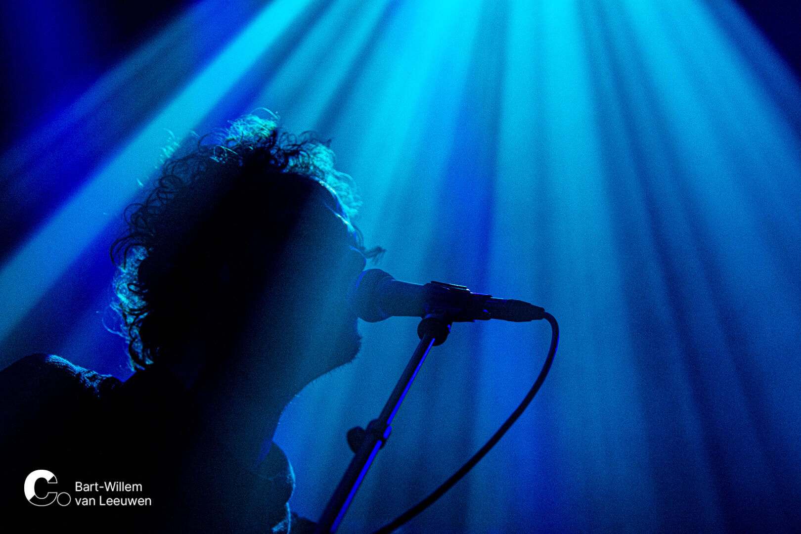 20241128 Cpunt -2- LauraPalmer - BWvLeeuwen-08