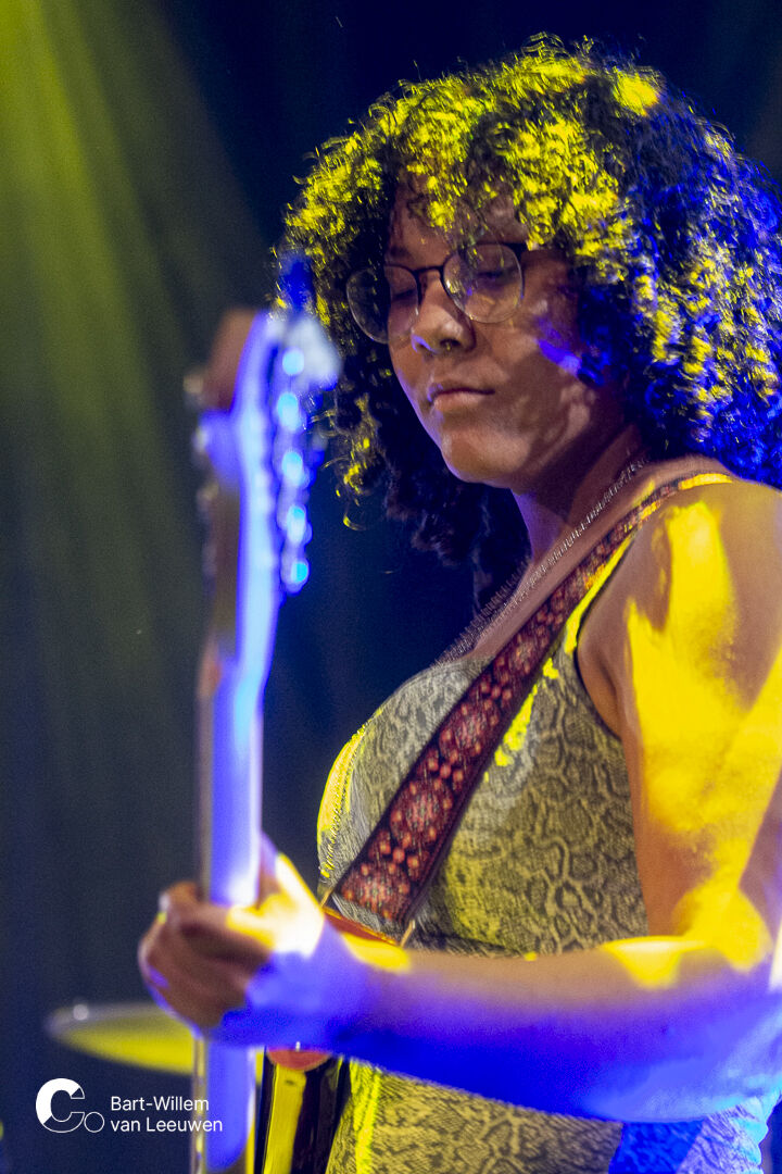 20251107 Cpunt Duyckplank1 - Needlewire - BW van Leeuwen-3