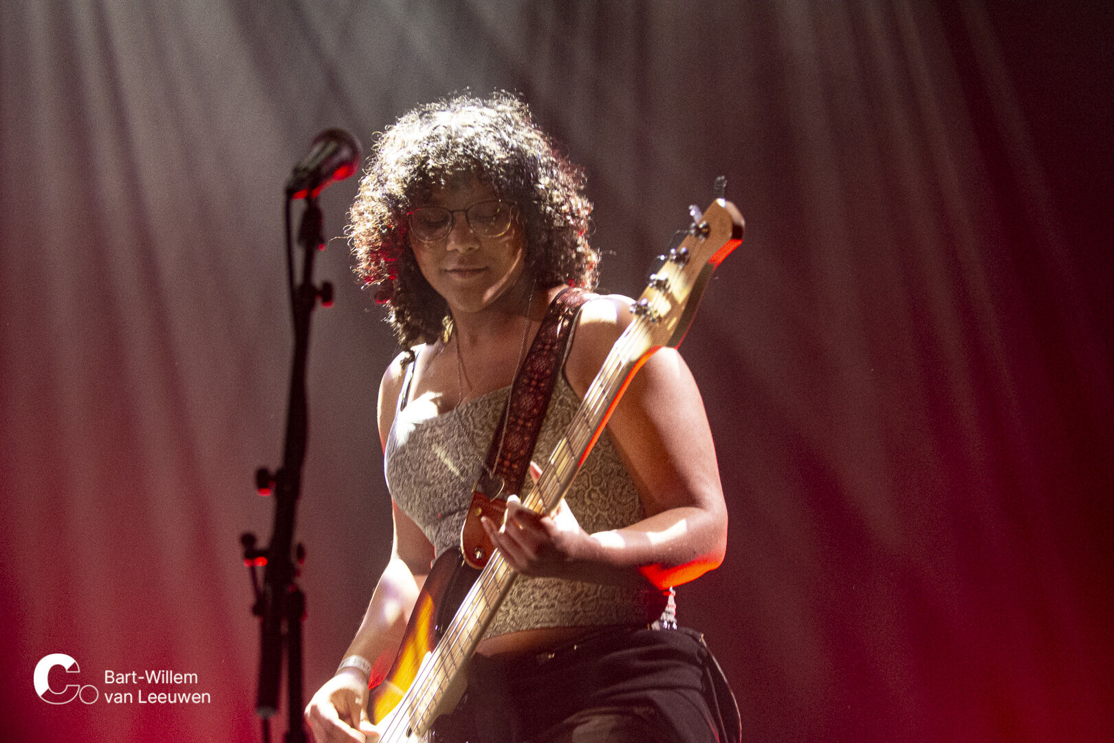 20251107 Cpunt Duyckplank1 - Needlewire - BW van Leeuwen-6