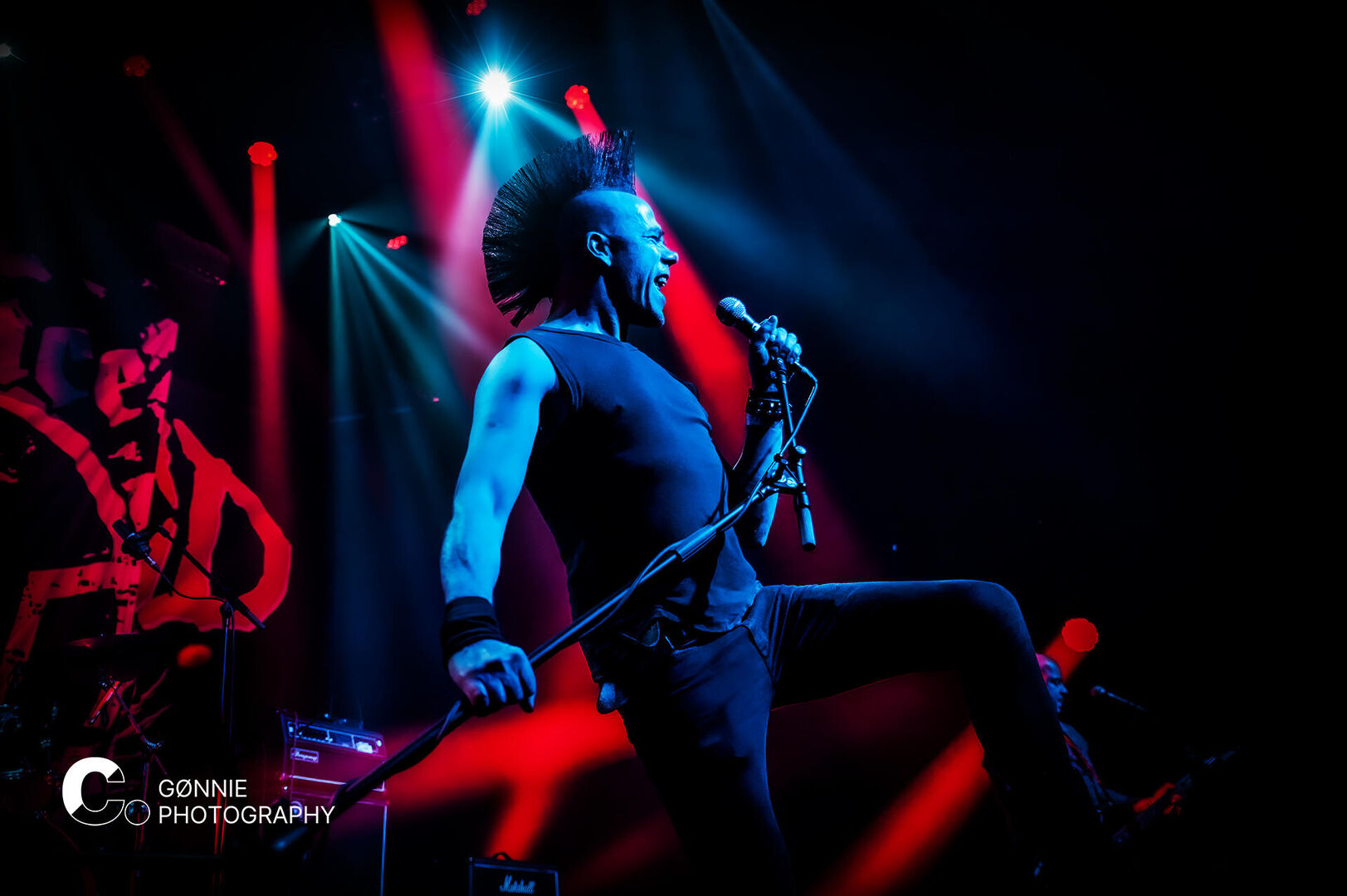 _DSC887 Disturbance Cpunt 21042024 GØNNIE photography