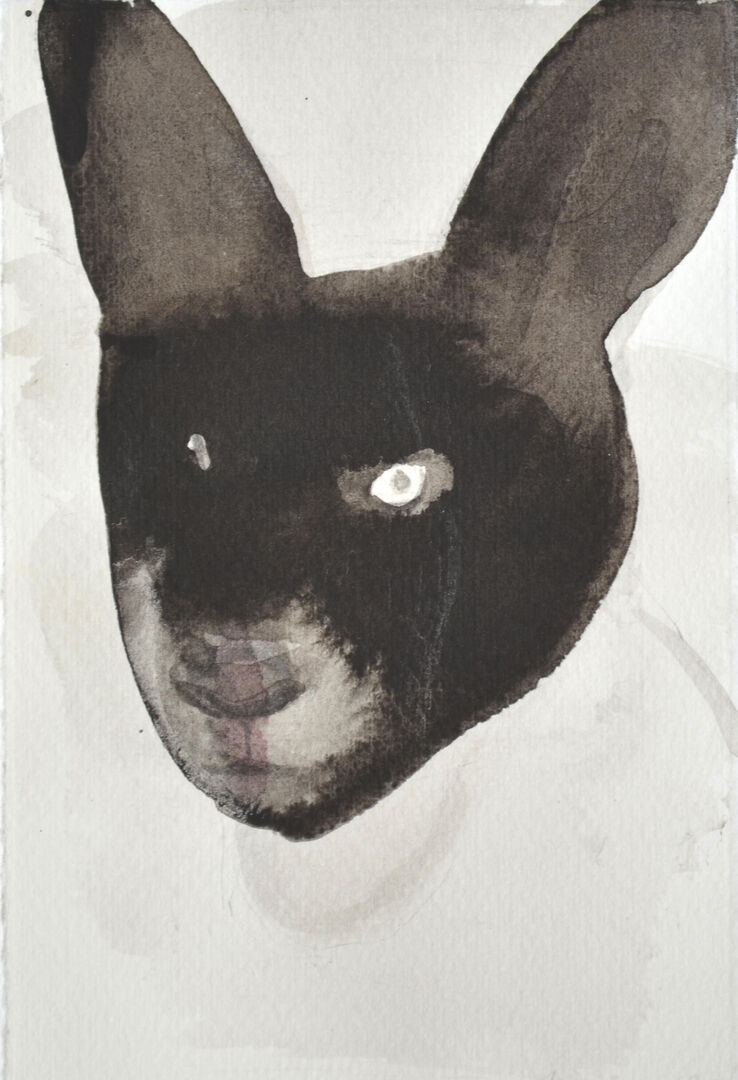 annevanasmask1201224x18