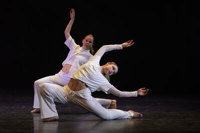 Dansstudio de Danstuin