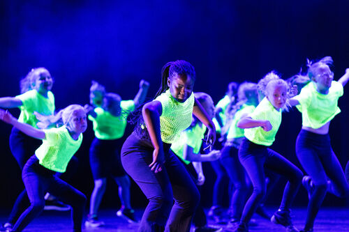 Dansstudio de Danstuin