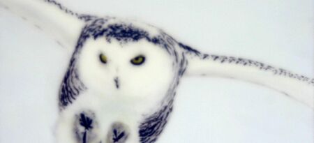 Deer Blind|Frozen Skin