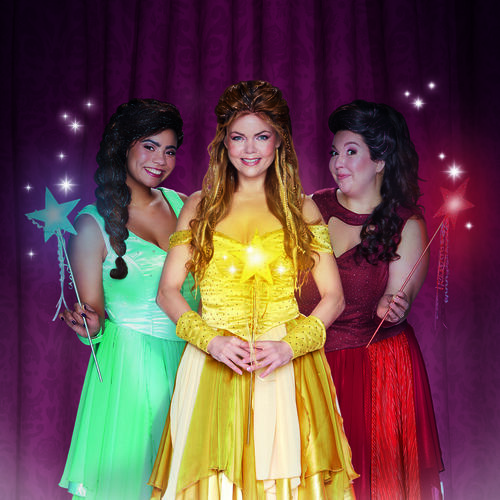 Doornroosje De Musical (4+)