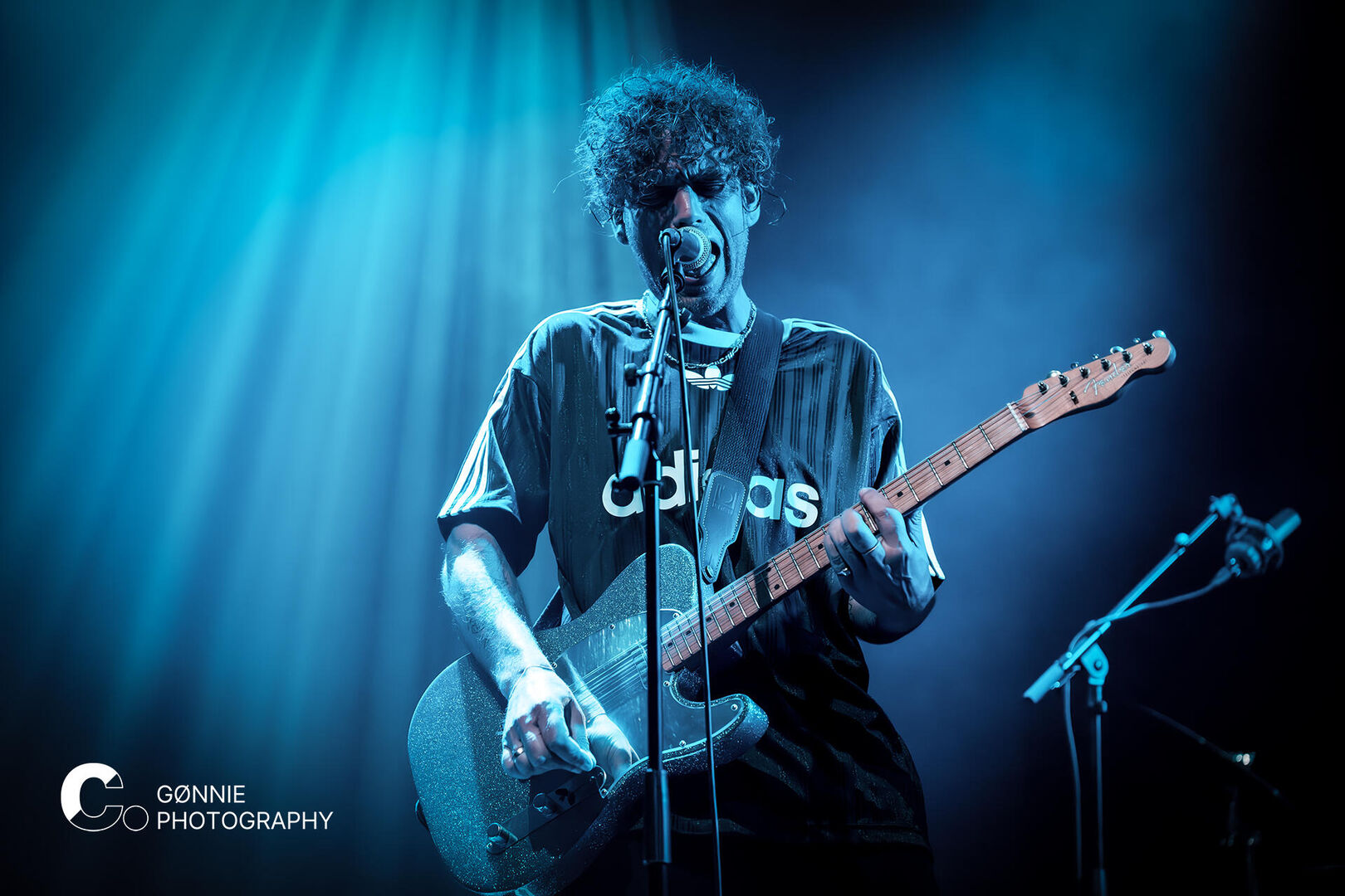 DSC_4450 Tijger Tijger Cpunt GØNNIE photography