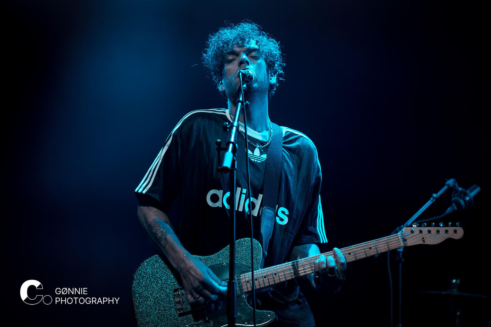 DSC_4458 Tijger Tijger Cpunt GØNNIE photography