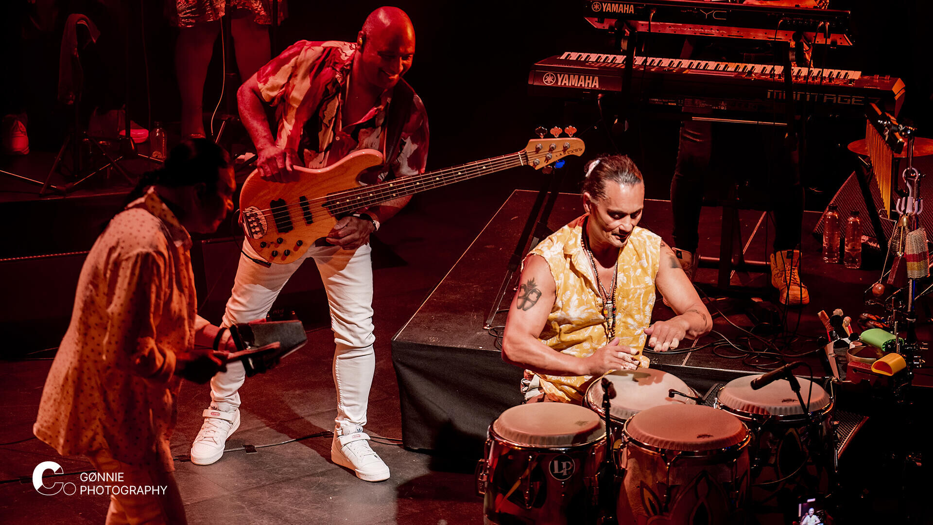 DSC_6990 Massada Cpunt Gonnie Beers-Herfst