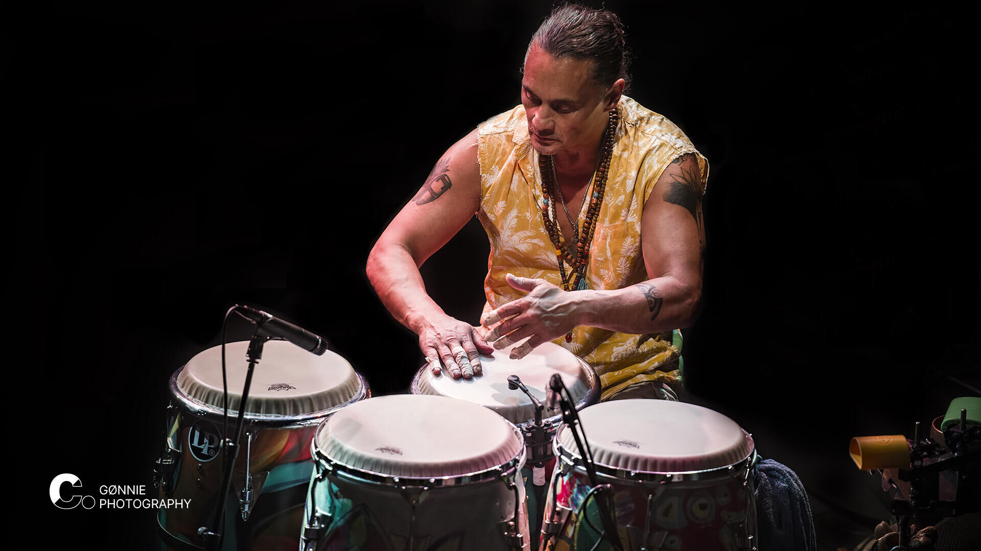 DSC_7623 Massada Cpunt Gonnie Beers-Herfst