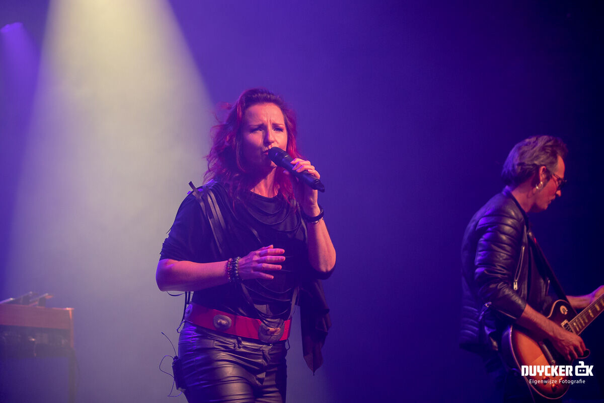 Duycker-Abba-Rocks-2-van-27