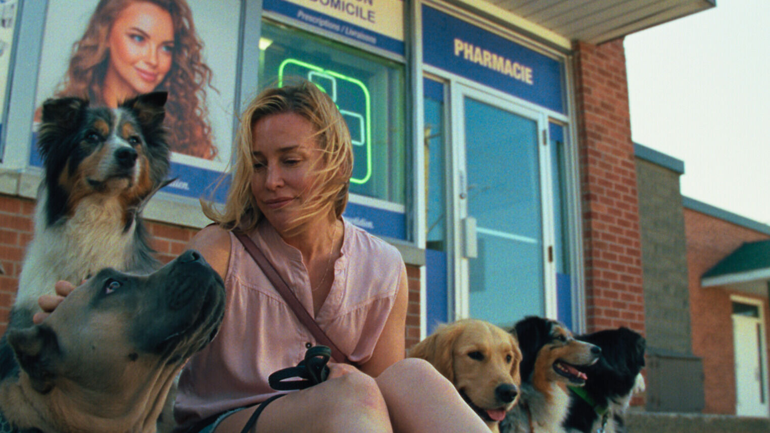 FILMHUIS NIEUW-VENNEP: Peak Everything