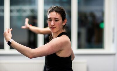 Flamenco basis