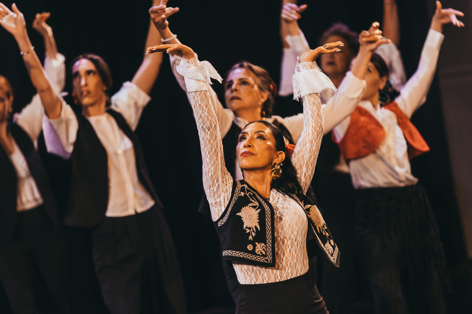 Flamenco intermediate low