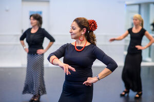 Flamenco intermediate low