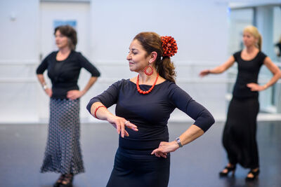 Flamenco intermediate low
