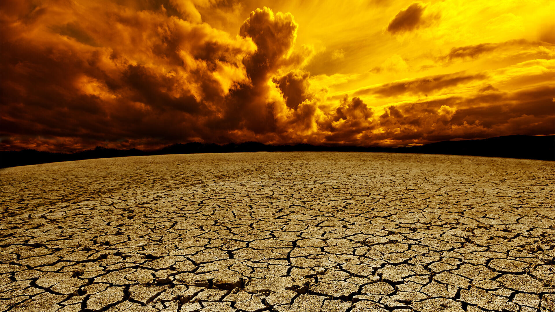 Forgotten Sons & Dry Land