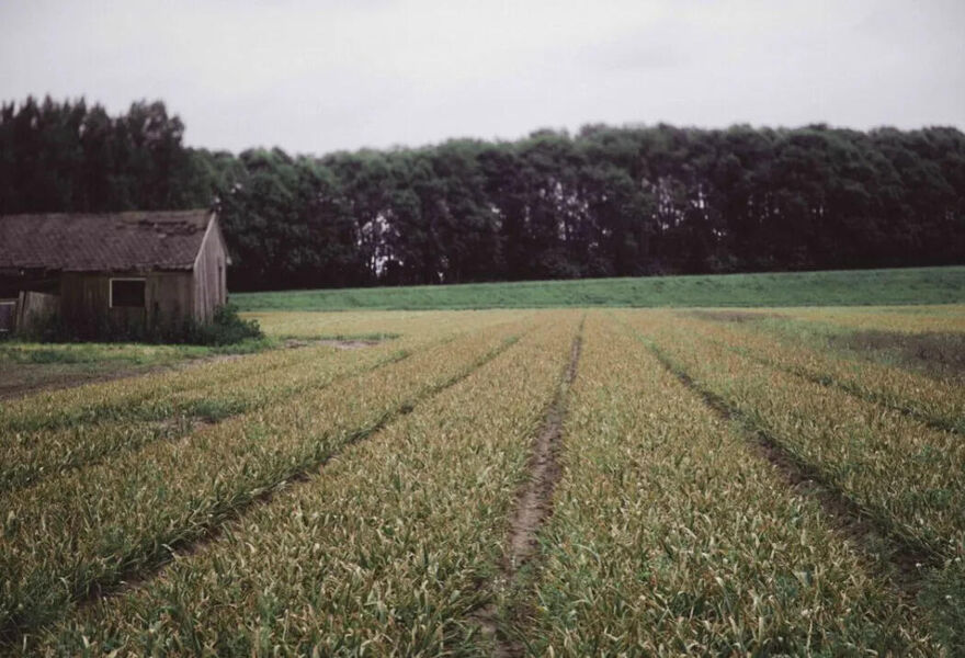 Fotografie Identiteit Haarlemmermeer