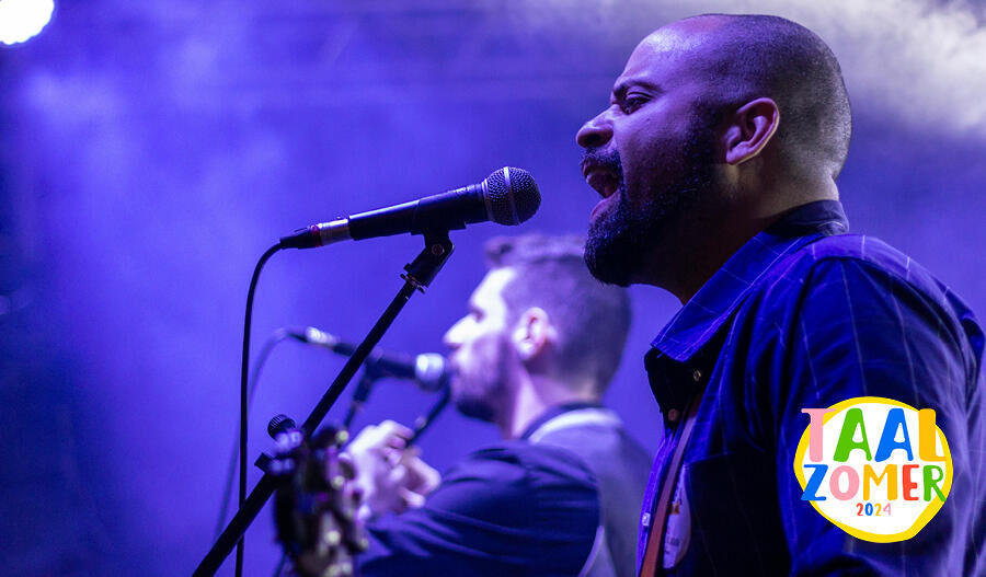 Hollandse hits: daar zit taal in 