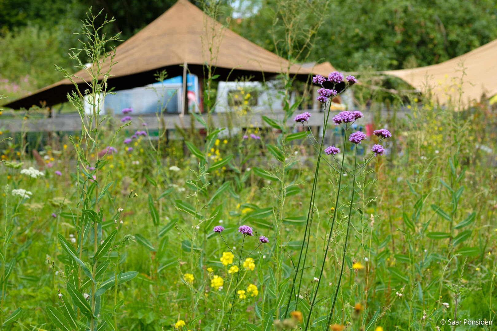 Hoofddorp aan zee is terug!