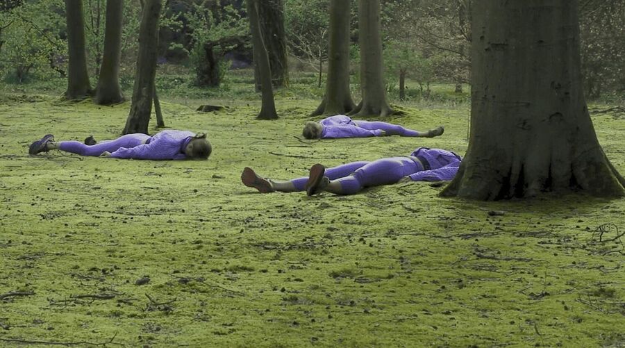 Ilva Diepstraten - Niksnut