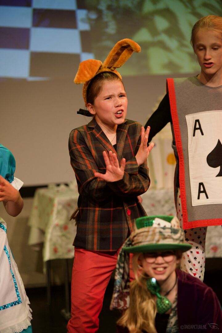 JTS Alice in Wonderland