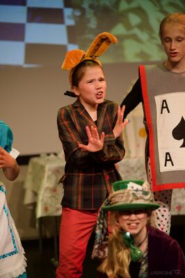 JTS Alice in Wonderland