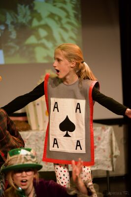 JTS De avonturen van Alice