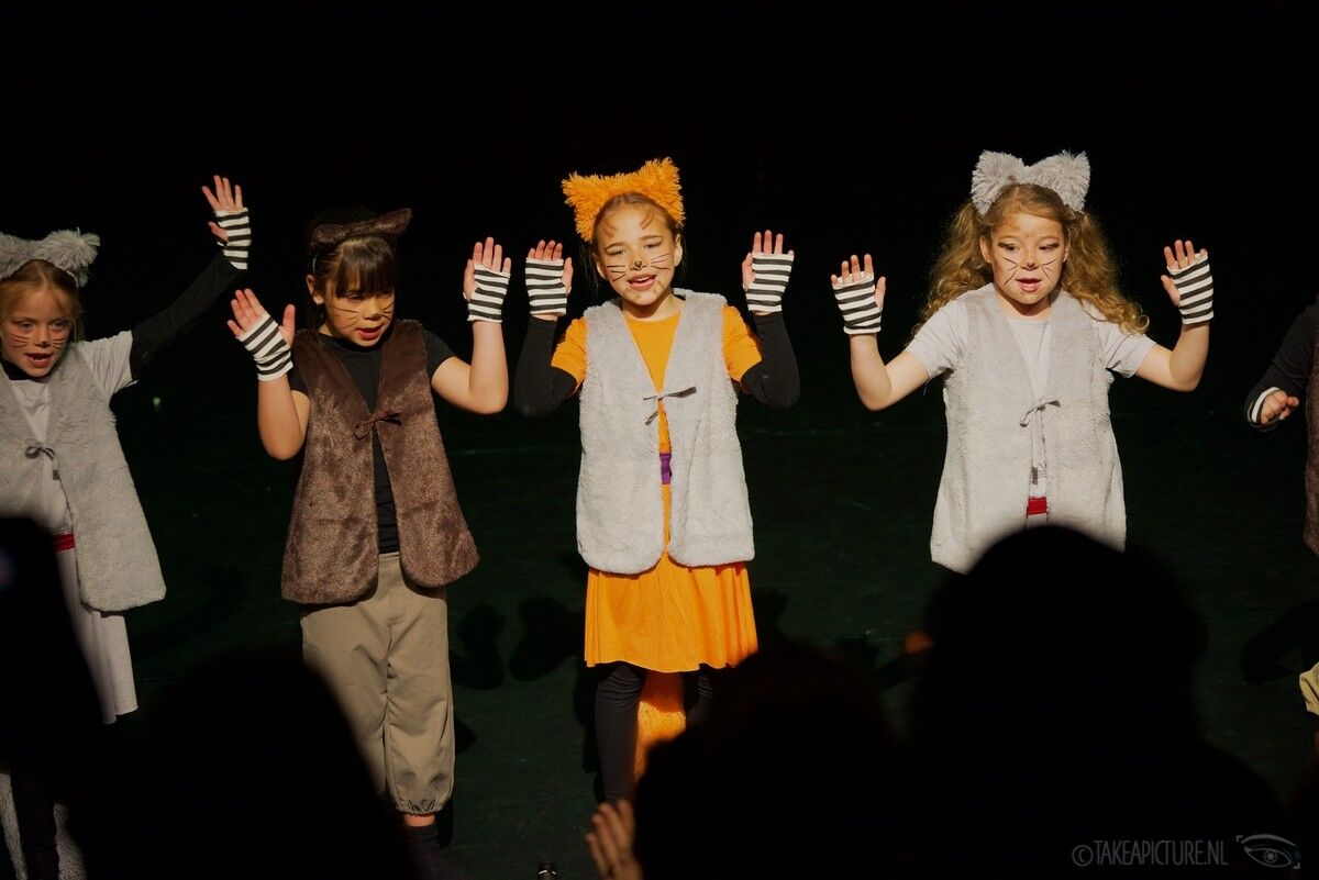 JTS festival The Aristocatten