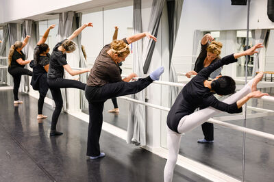 Klassiek ballet volwassenen gevorderd  30 lessen