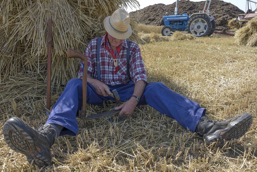 Koren maaien in de Haarlemmermeer 2019, foto Kees van der Veer