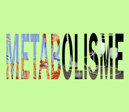 Metabolisme