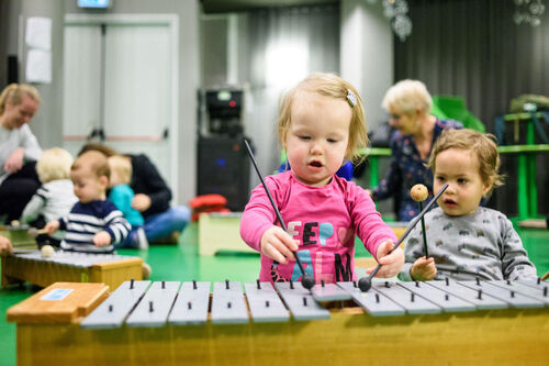 Muziek voor Dreumesen (1-2 jaar)