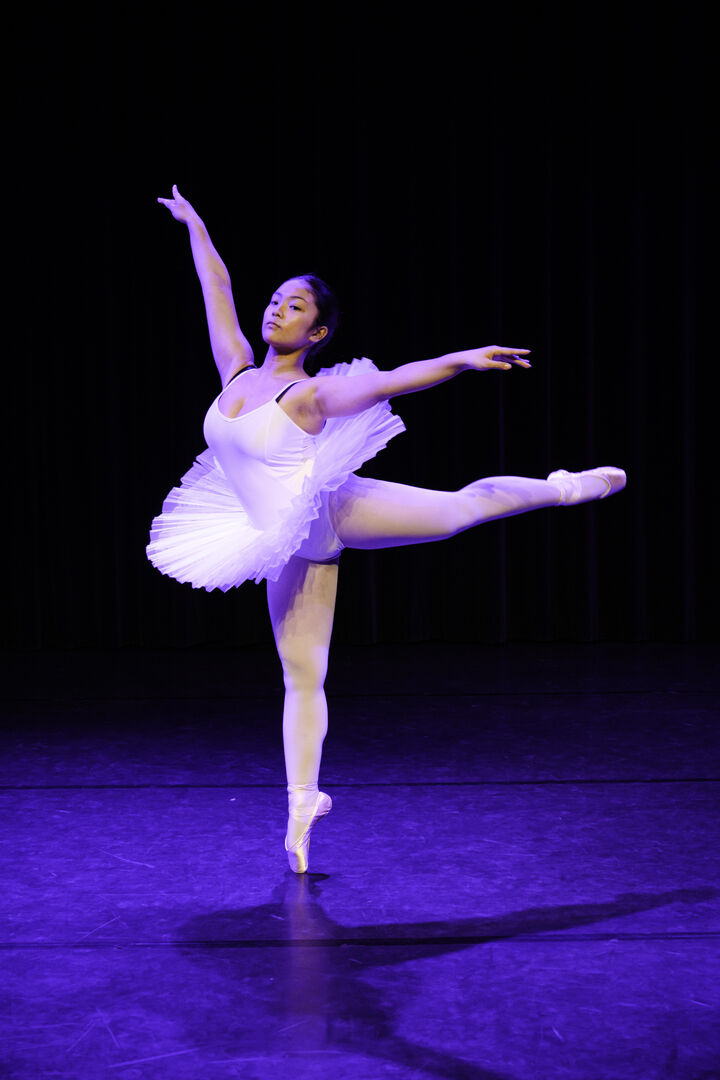 Nieuwe cursussen? Foto beeldend