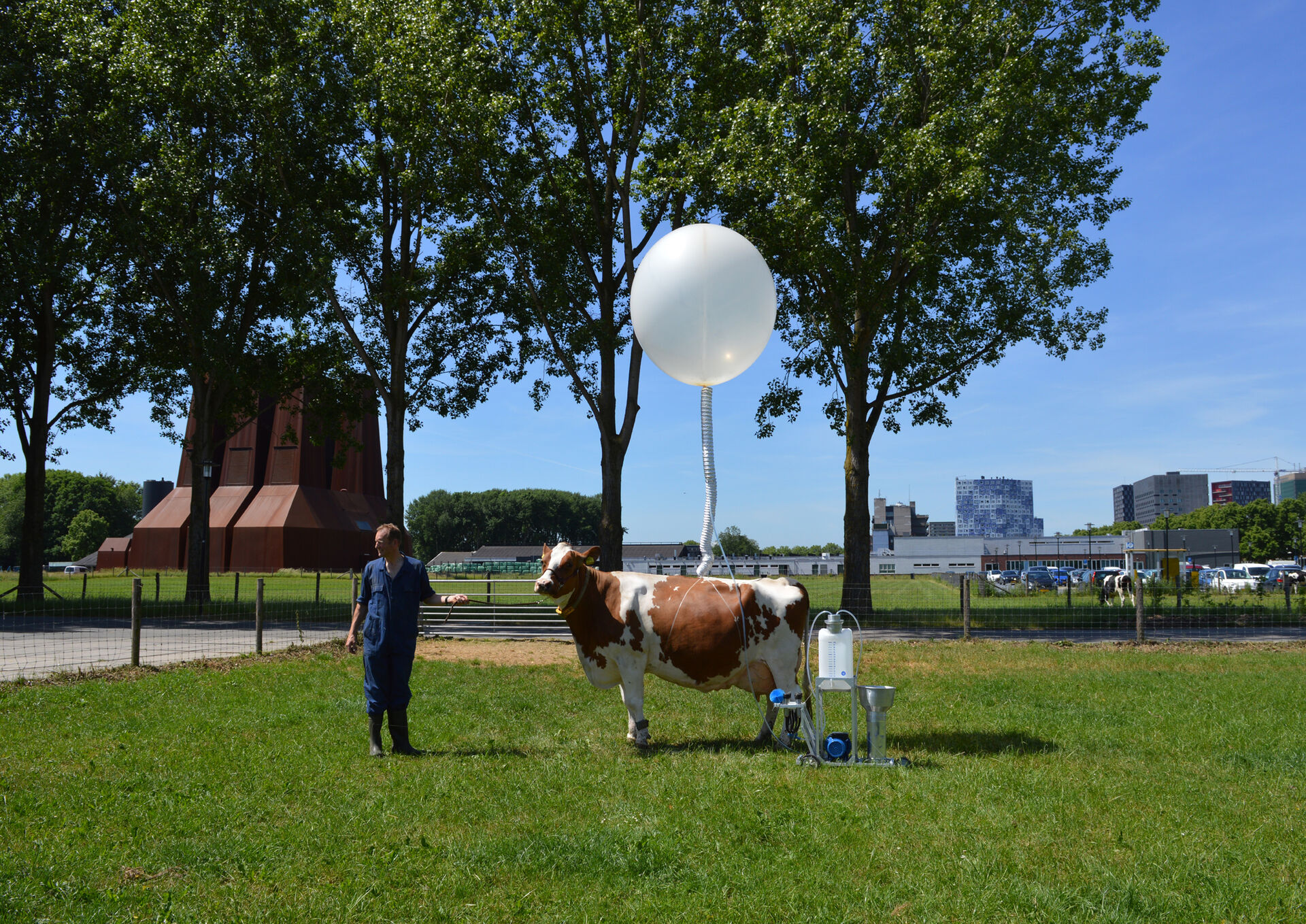 Ottonie Roeder en Anastasia Eggers (D) Beestenbuur:  Egg to Go en Cow&Co