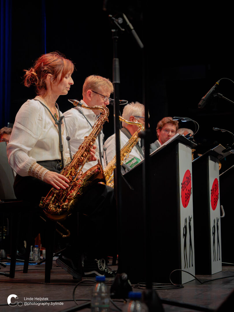Pete Bog´s bigband watermerk (41 van 75)