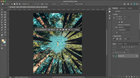 Photoshop & AI