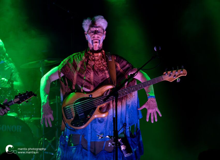 Sleepytime Gorilla Museum & Faun Fables