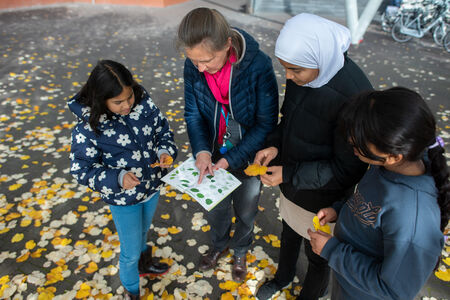 Taalhuis > Ik wil helpen als vrijwilliger (Landingspagina > Taalhuis)