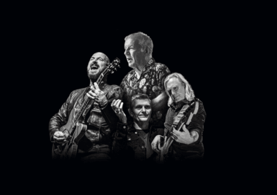 The Animals & Friends