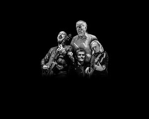 The Animals & Friends